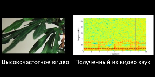 Специальный алгоритм преобразует видео в звук