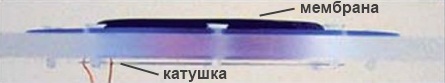 Катушка непосредственно воздействует на мембрану