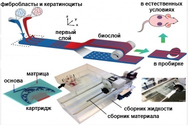 Принцып работы PrintAlive