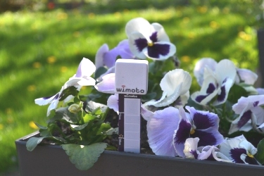 Wimoto датчики