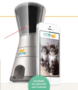 Kittyo