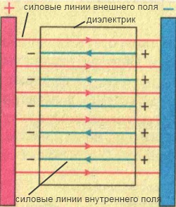 Силовые линии внешнего и внутреннего электрического поля