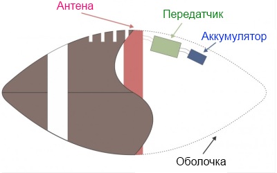 Новый футбольный мяч