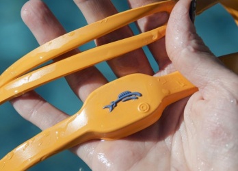 iSwimband
